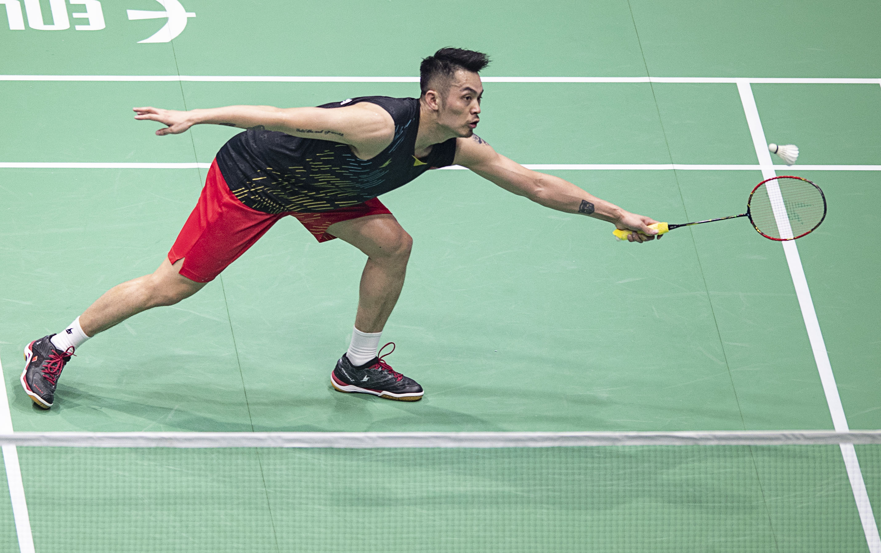 回报球迷的 回报球迷的