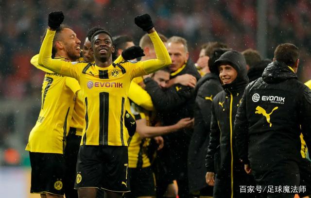 的均衡搭配 的均衡搭配